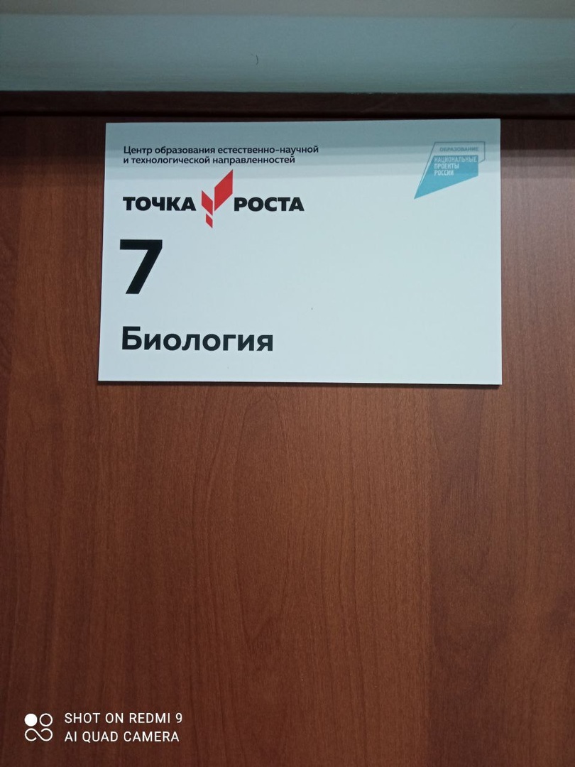 Основные элементы брендирования